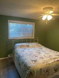 Green Bedroom Interior Painting