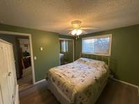 Residential Bedroom Interior Paint Refresh