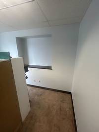 Interior Wall Painting