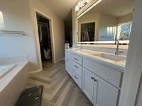 Bathroom Vanity and Trim Painting