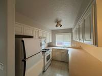 Kitchen Cabinet and Wall Painting