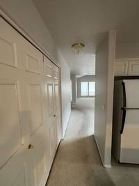 Hallway Wall, Door and Trim Painting