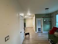 green-accent-wall-interior-painting
