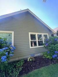 Green Exterior Siding