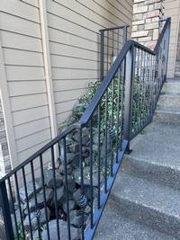 black-metal-railing-exterior-painting