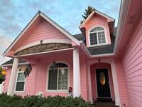 Cover image for Pink House