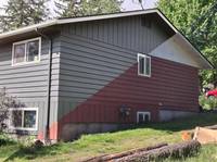 Cover image for Bold New House Color